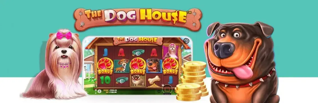 The Dog House